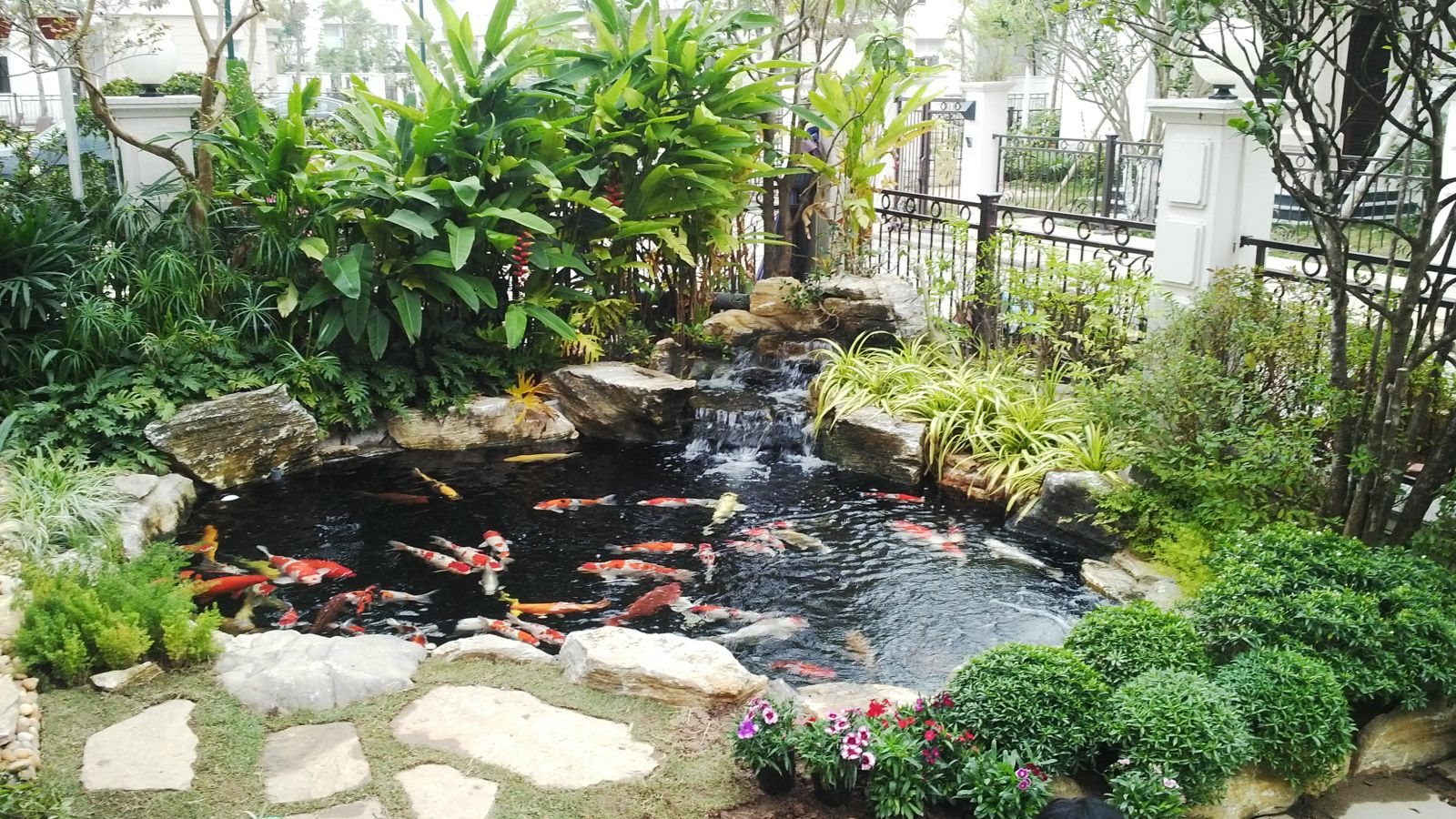 Mẫu tiểu cảnh sân vườn đắt giá với hồ cá Koi