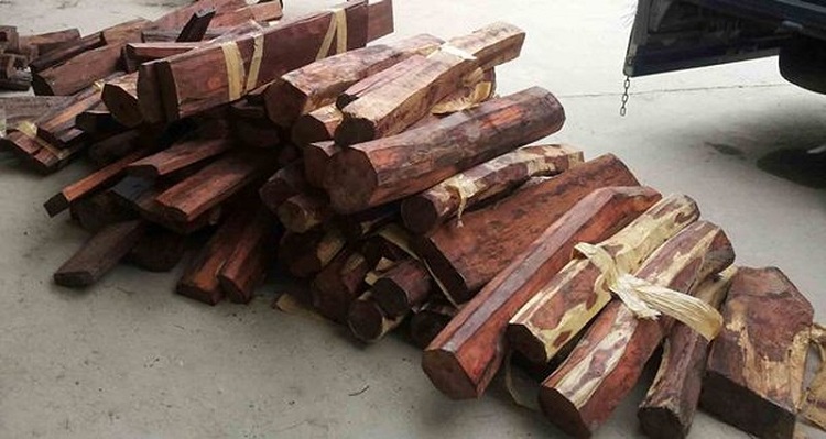 Tìm hiểu gỗ cẩm lai là gì? Có mấy loại? Cách nhận biết?