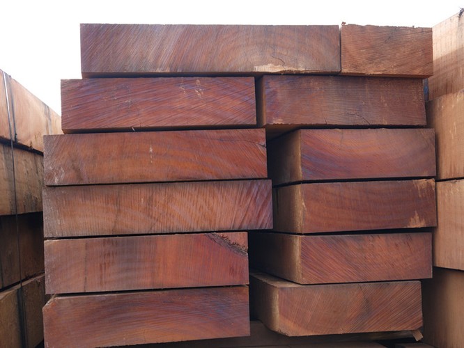 gỗ hương Nam Phi là gì
