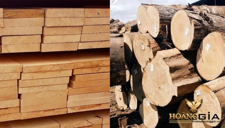 phân loại gỗ chò chỉ