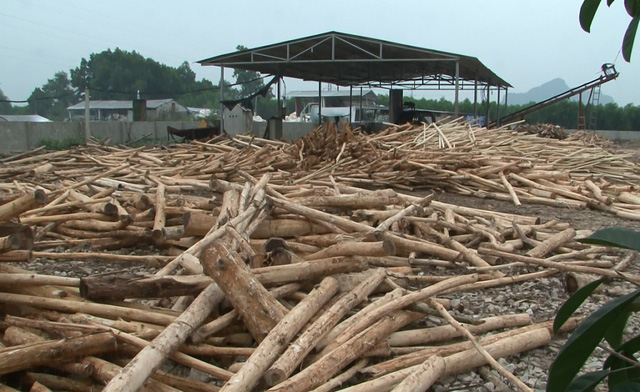 quy trình sản xuất gỗ công nghiệp