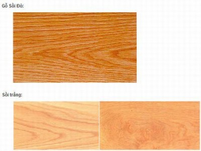 Vật liệu gỗ sồi , cách phân biệt gỗ sồi với các vật liệu gỗ khác