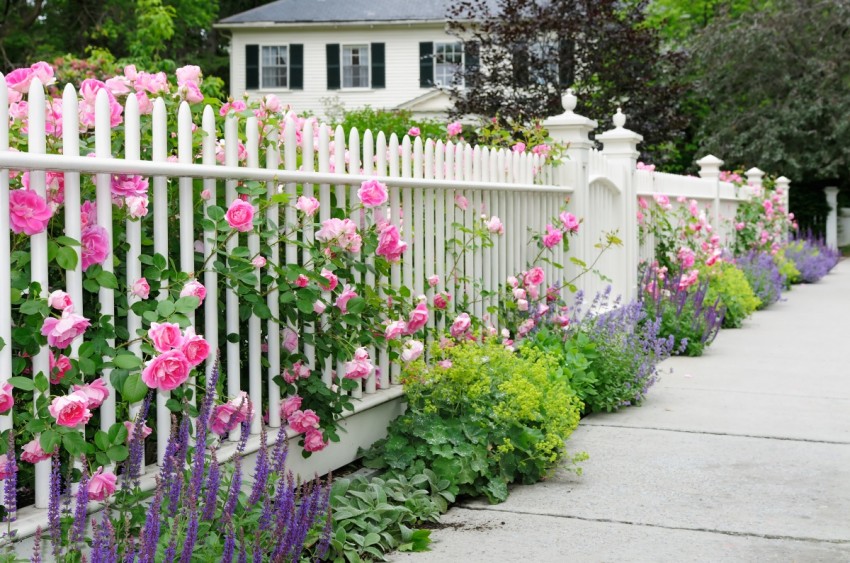 Lựa chọn hàng rào đẹp và an toàn nhất cho gia đình bạn