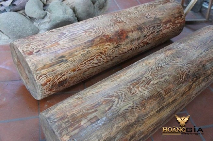 Tìm hiểu gỗ thủy tùng là gì: Đặc tính, giá thành và ứng dụng